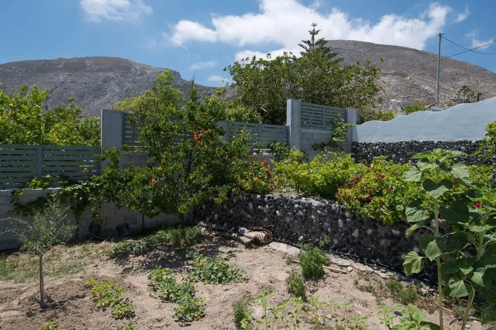 Felicity Villas garden and mountain view - Landscaped garden area with Santorini mountain backdrop